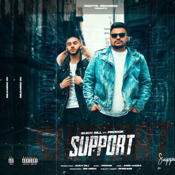 Support cover