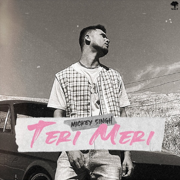 Teri Meri cover