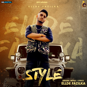 Style cover