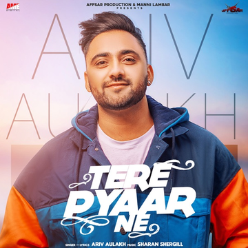 Tere Pyar Ne cover