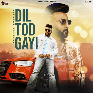 Dil Tod Gayi cover