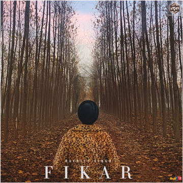 Fikar cover