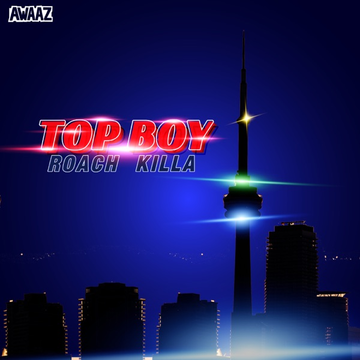 Top Boy cover