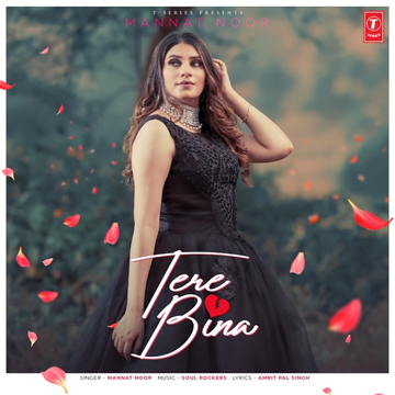 Tere Bina cover