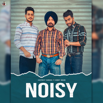 Noisy cover