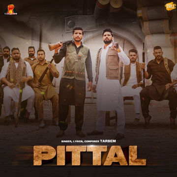 Pittal cover