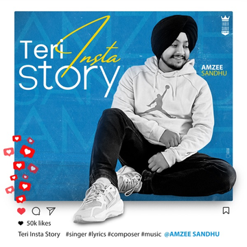 Teri Insta Story cover