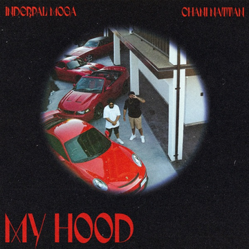 Hood cover