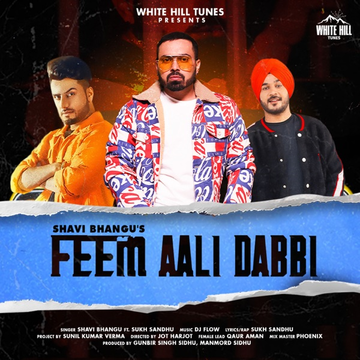 Feem Aali Dabbi cover