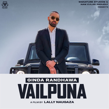 Vailpuna cover