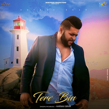 Tere Bin cover