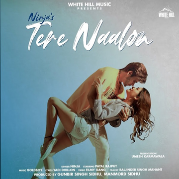 Tere Naalon cover