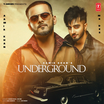 Underground cover