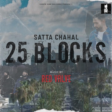 25 Blocks cover