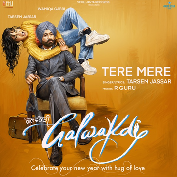 Tere Mere (From Galwakdi) cover