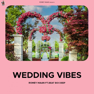 Wedding Vibes cover