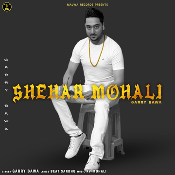 Shehar Mohali cover