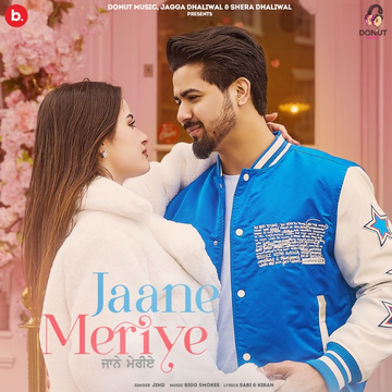 Jaane Meriye cover