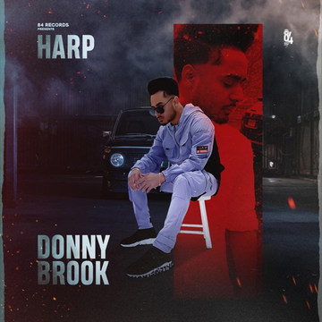 Donnybrook cover