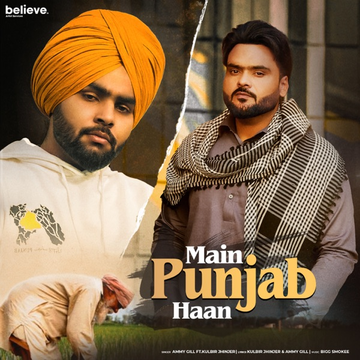 Main Punjab Haan cover