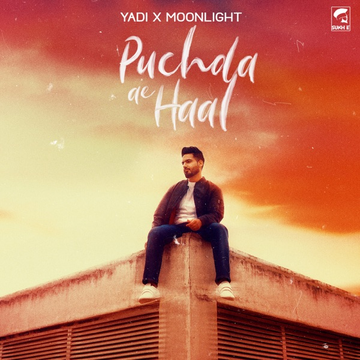 Puchda Ae Haal cover