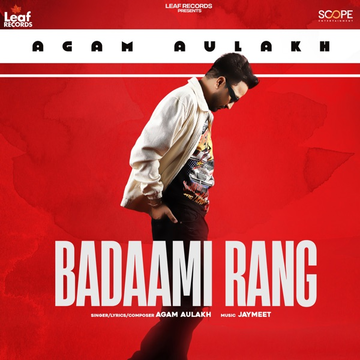 Badaami Rang cover