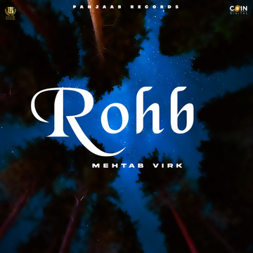 Rohb cover