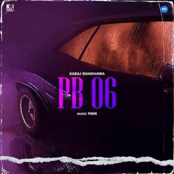 Pb 06 cover