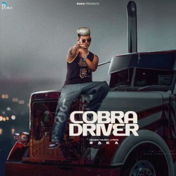 Cobra Driver cover