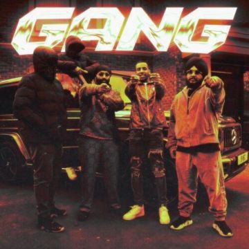 Gang cover