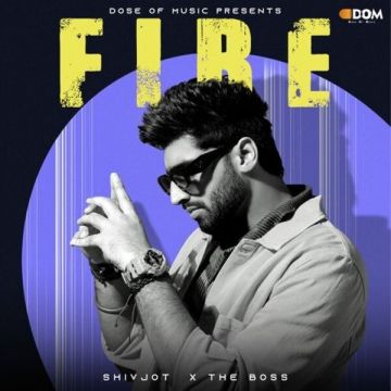 Fire cover