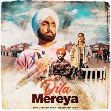 Dila Mereya cover