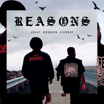 Reasons cover