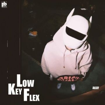 Lowkey Flex A Kay djpunjab