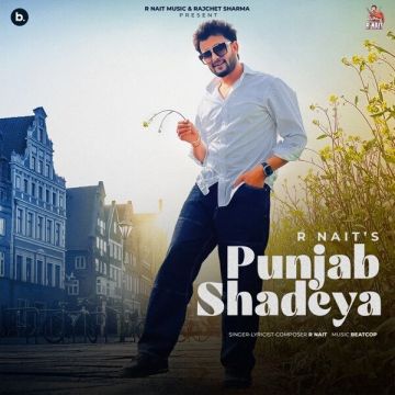 Punjab Shadeya cover