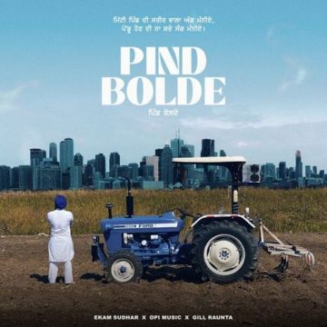 Pind Bolde cover