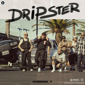 Dripster cover