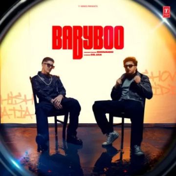 Babyboo cover