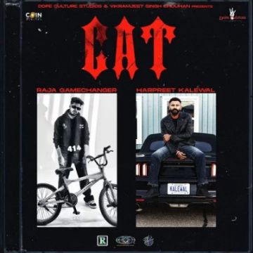 CAT cover