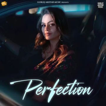 Perfection cover