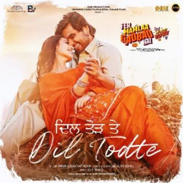 Dil Todte cover