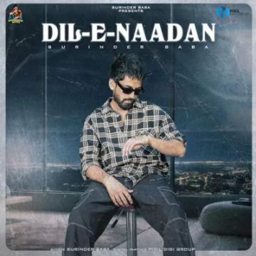 Dil E Nadaan cover