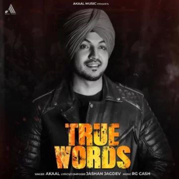 True Words cover