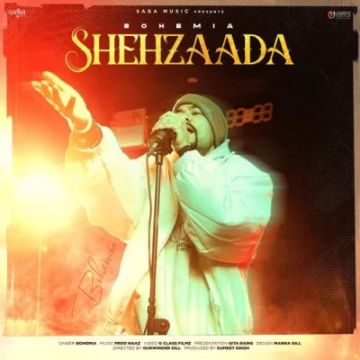 Shehzaada cover