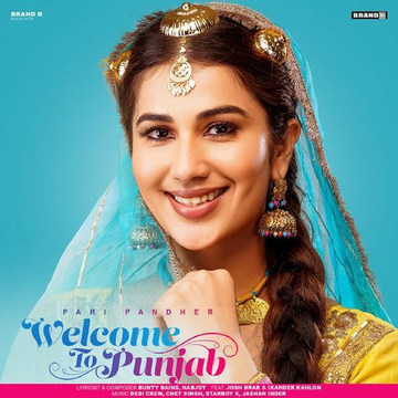 Welcome To Punjab cover