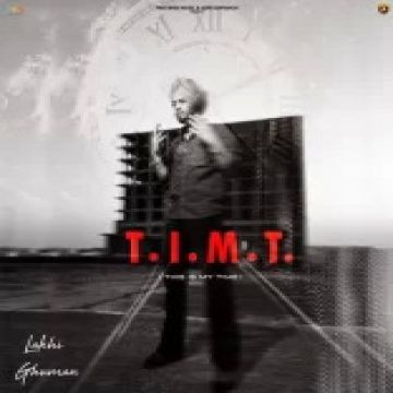 TIMT cover