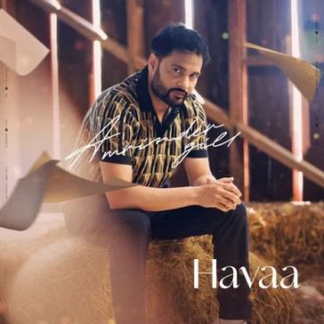 Havaa cover