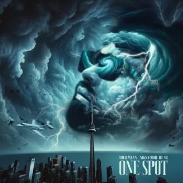 One Spot cover