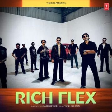 Rich Flex cover