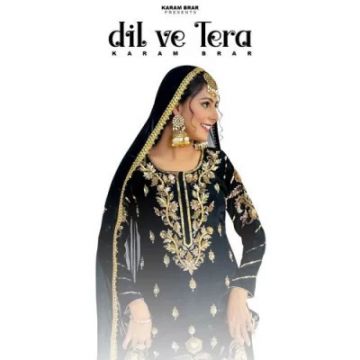 Dil Ve Tera cover